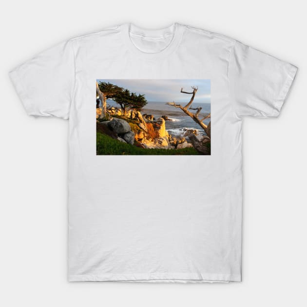 Carmel California coastal view T-Shirt by ArtofMaleImages